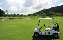 デナラウゴルフ イメージ