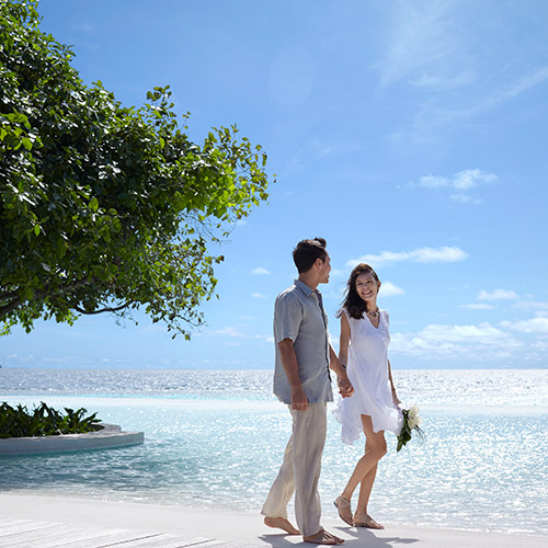 フォトプランイメージ2