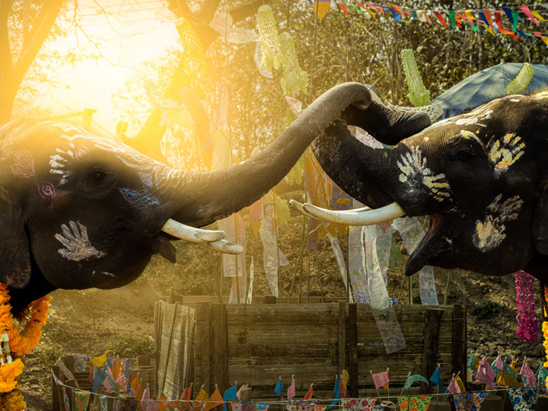 水かけ祭り(ソンクラン)イメージ