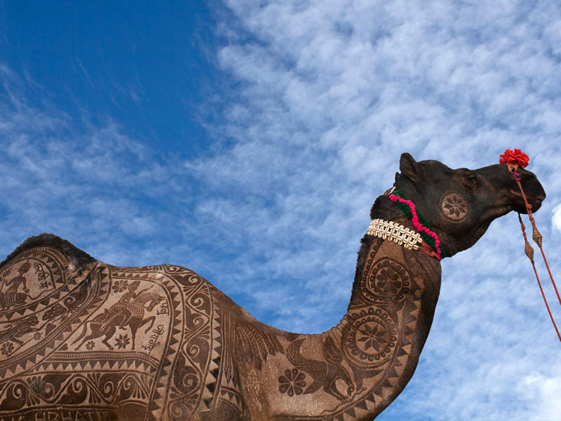 ジャイサルメール砂漠祭りイメージ